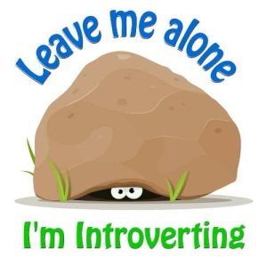 Leave Me Alone. I'm Introverting.