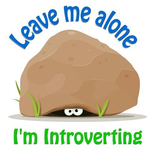Leave Me Alone. I'm Introverting.