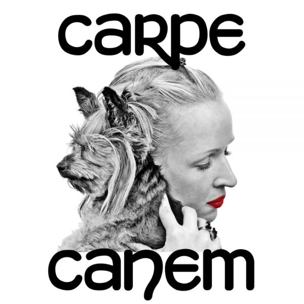 Carpe Canem