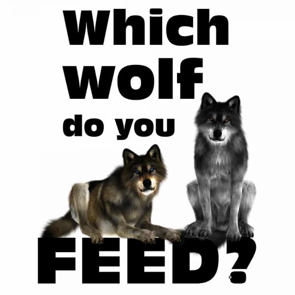 Which Wolf do you Feed?