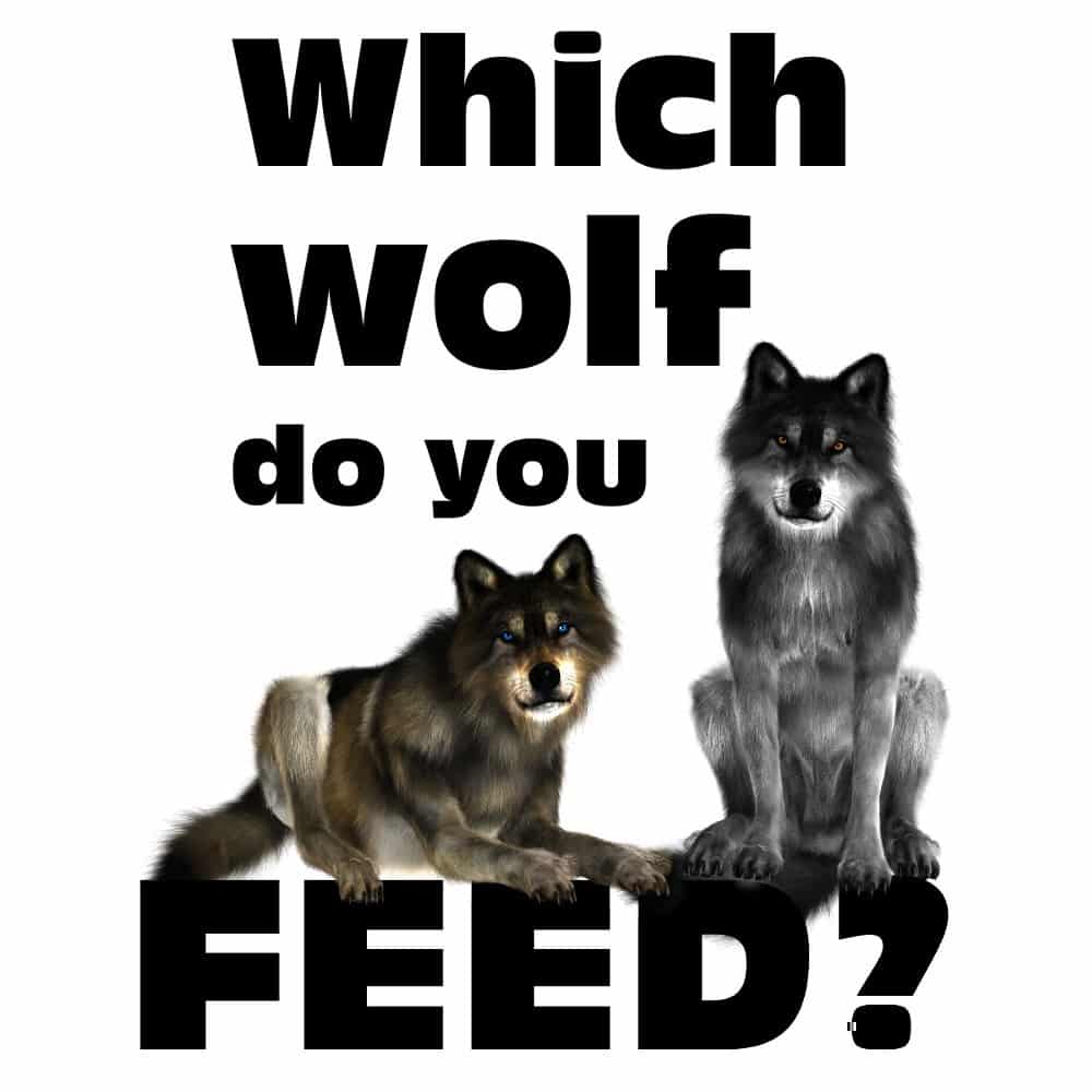Which Wolf do you Feed