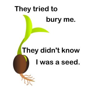 I Was a Seed