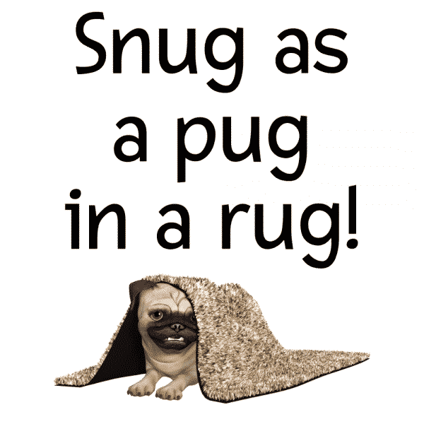 Snug as a Pug in a Rug