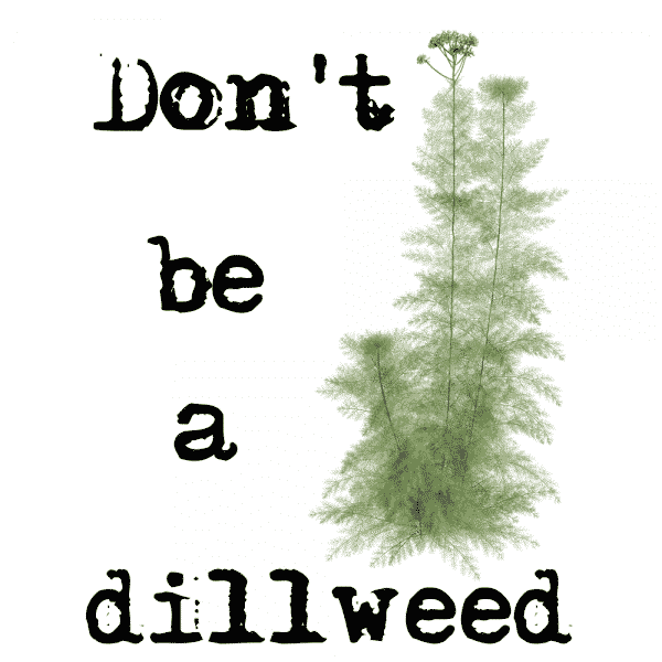 Don't be a Dillweed