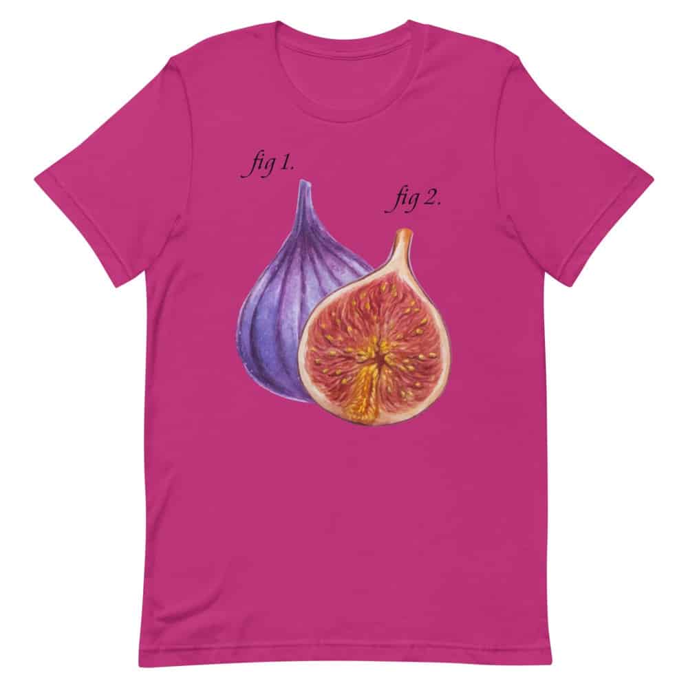 Figs T-Shirt (Unisex)